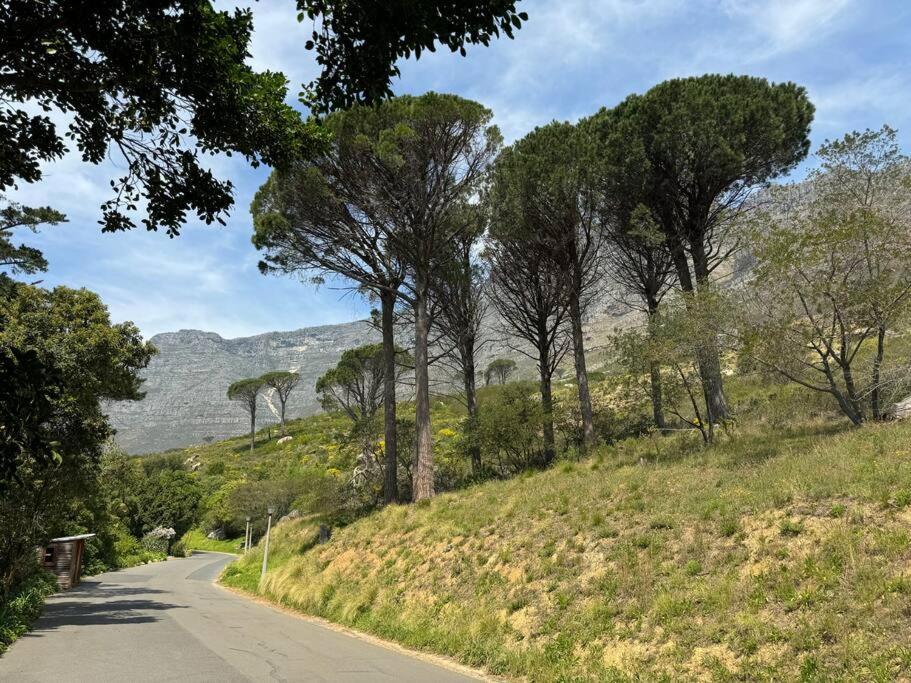 Modern On The Foot Of Table Mountain Cape Town
